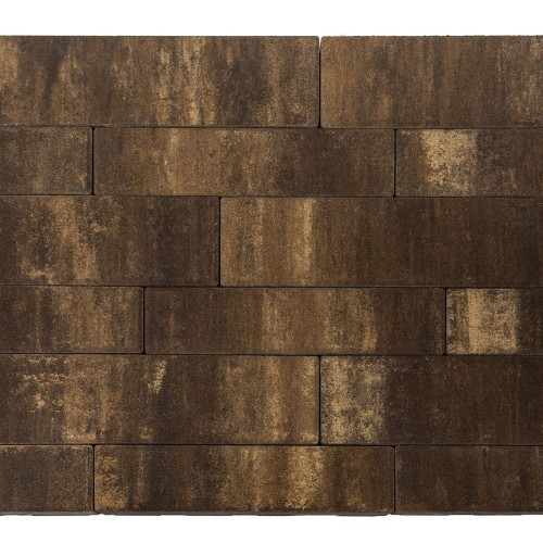 chestnut_3