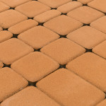coral_1 coral_1