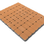 coral_2 coral_2