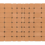 coral_3 coral_3