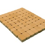 honey_2 honey_2